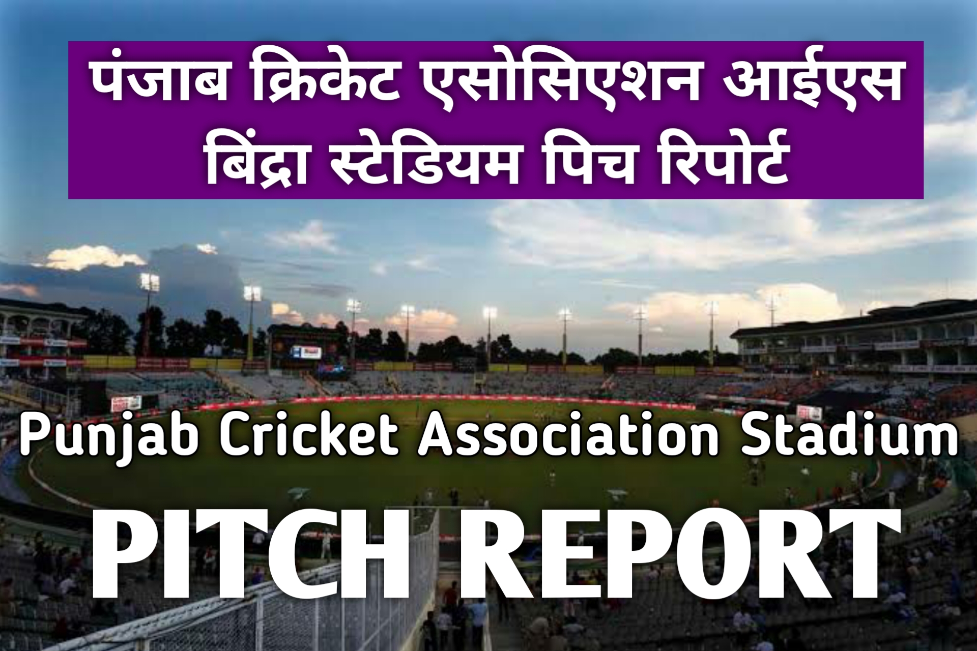 Punjab Cricket Association Stadium Pitch Report in Hindi